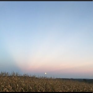 Meet your Posher, Bailey